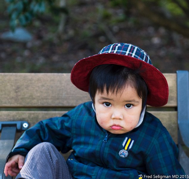 20150312_095915 D4S.jpg - Children on grouds of Nagoya Castle